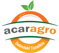 acarcitrus